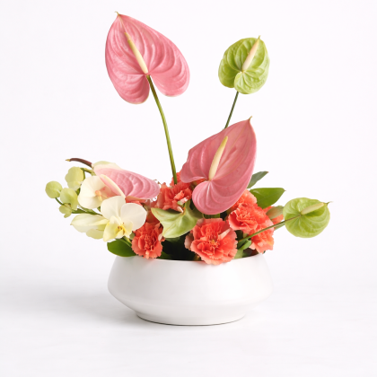 KERAMIČNA POSODA ZA ARANŽMA - BELA